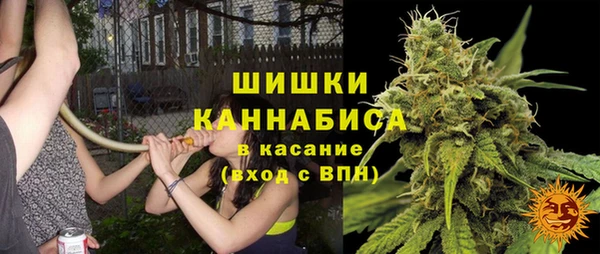 бошки Арсеньев